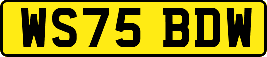 WS75BDW