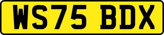 WS75BDX