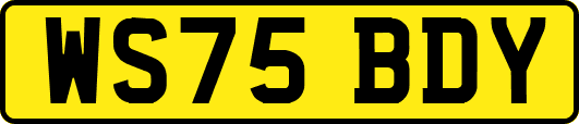 WS75BDY