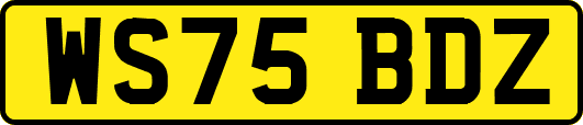 WS75BDZ