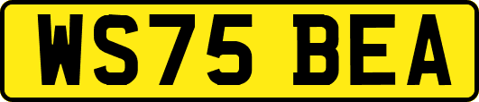 WS75BEA