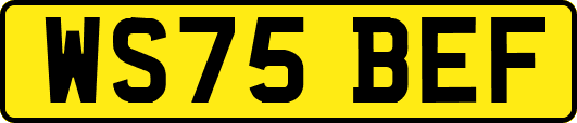 WS75BEF