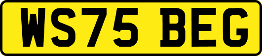 WS75BEG