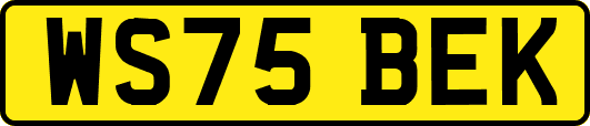 WS75BEK