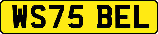 WS75BEL
