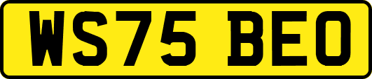 WS75BEO