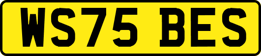 WS75BES