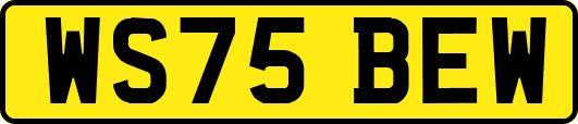 WS75BEW