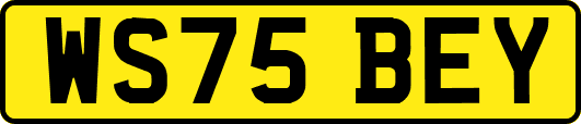 WS75BEY