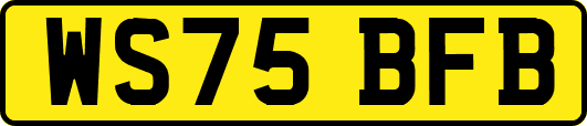 WS75BFB