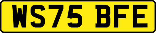 WS75BFE