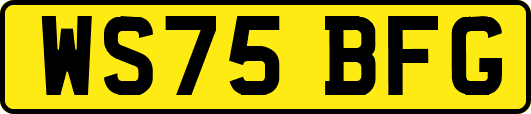 WS75BFG
