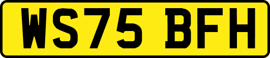 WS75BFH