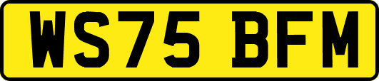 WS75BFM