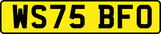 WS75BFO