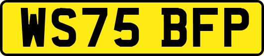 WS75BFP