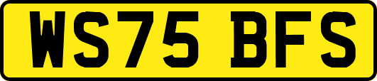 WS75BFS