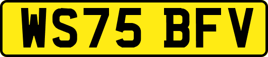 WS75BFV