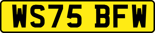 WS75BFW