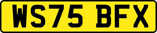 WS75BFX
