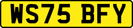 WS75BFY
