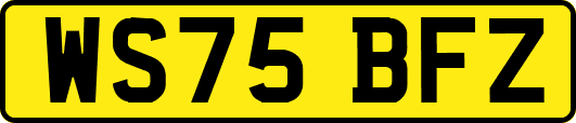 WS75BFZ