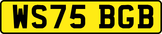 WS75BGB