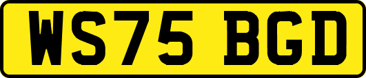 WS75BGD