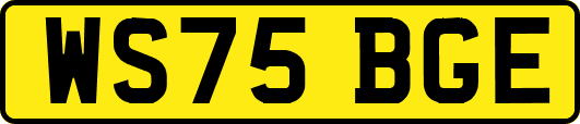 WS75BGE