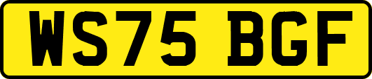 WS75BGF