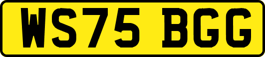 WS75BGG