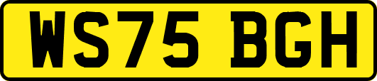 WS75BGH