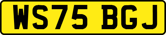 WS75BGJ
