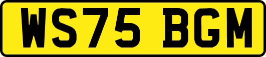 WS75BGM