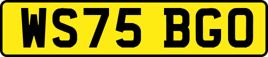 WS75BGO