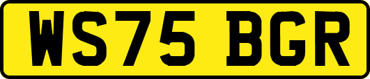 WS75BGR