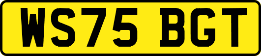 WS75BGT
