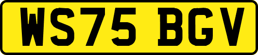 WS75BGV