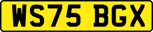 WS75BGX