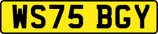 WS75BGY