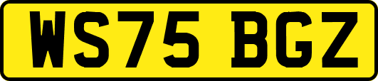 WS75BGZ