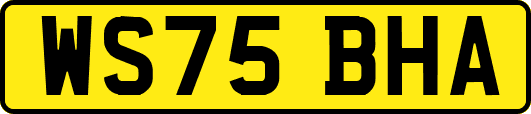 WS75BHA