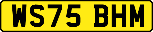 WS75BHM