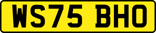 WS75BHO