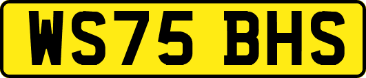 WS75BHS