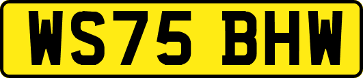 WS75BHW