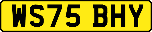 WS75BHY