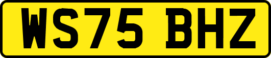 WS75BHZ