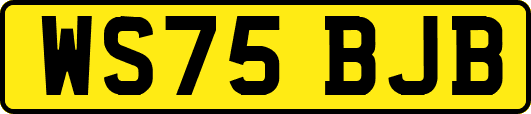 WS75BJB