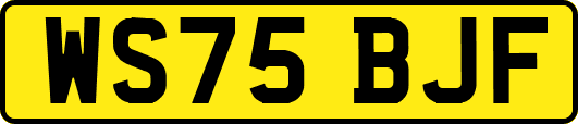 WS75BJF